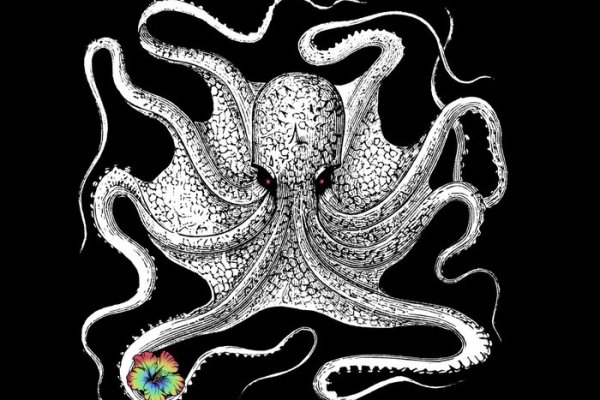 Kraken зеркало стор