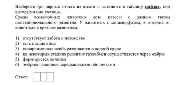 Кракен маркетплейс в тг