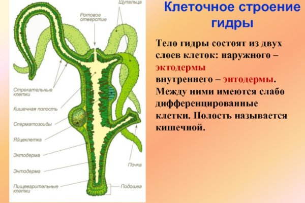 Kraken 13at