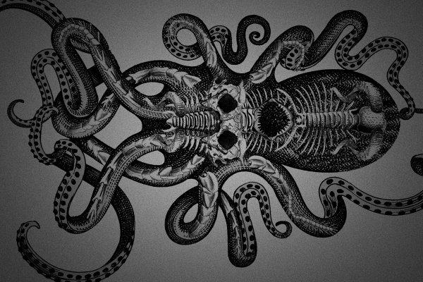 2kr kraken