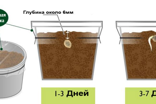 Кракен что можно купить