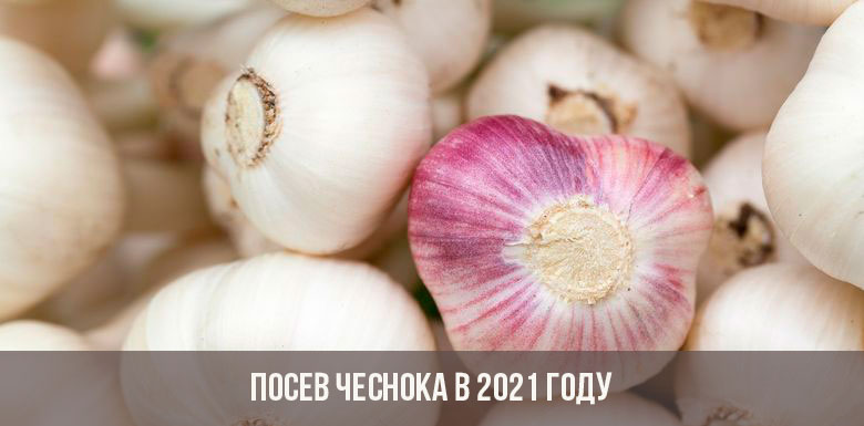 Как найти ссылку на кракен